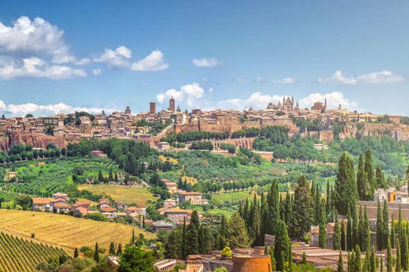 Escursione ad Assisi + Degustazione di vino