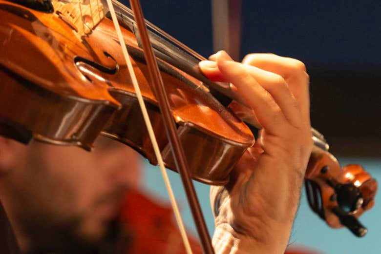 Uno dei musicisti di Palazzo Poli