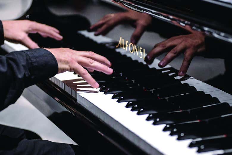 Durante il concerto