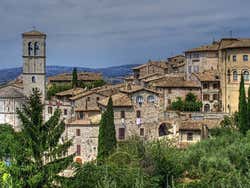 Asís
